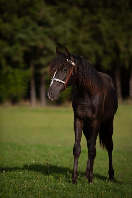 Foto: Nadine Lechner Fotografie
