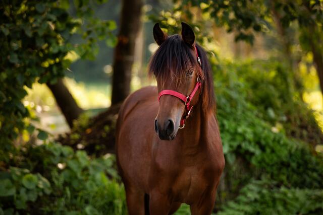 Foto: Nadine Lechner Fotografie