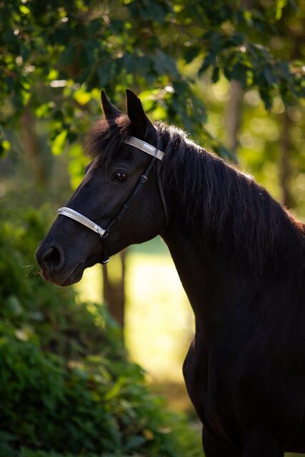 Foto: Nadine Lechner Fotografie