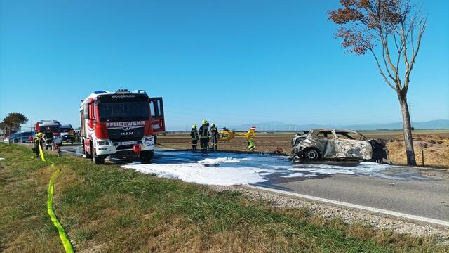 Die Feuerwehren Moosbrunn und Gramatneusiedl standen im Einsatz. | Foto: Thomas Lenger