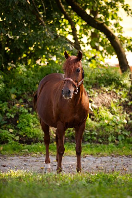 Foto: Nadine Lechner Fotografie