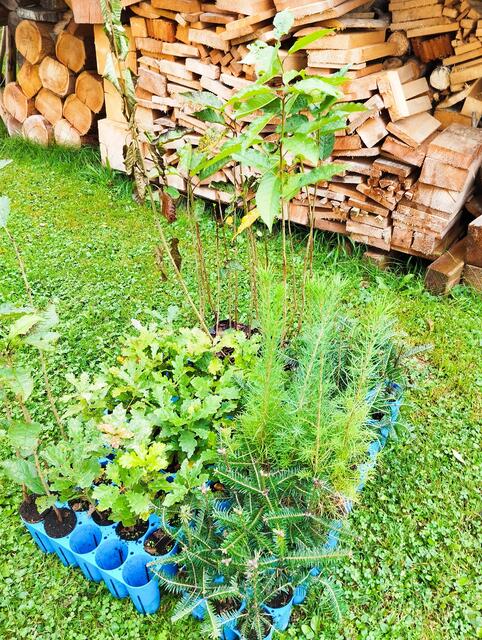 Foto: Veronika Frank