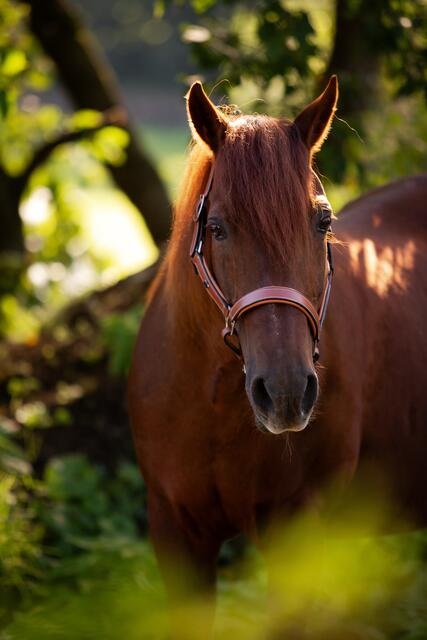 Foto: Nadine Lechner Fotografie