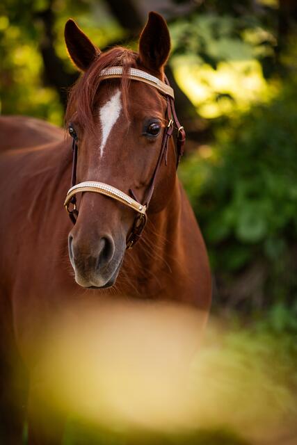 Foto: Nadine Lechner Fotografie