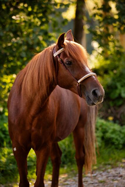 Foto: Nadine Lechner Fotografie
