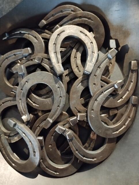 Foto: Veronika Frank