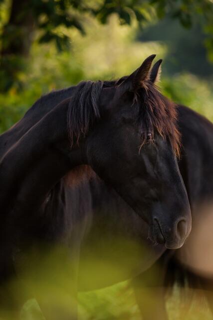 Foto: Nadine Lechner Fotografie