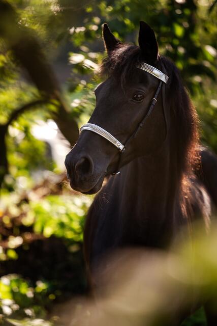 Foto: Nadine Lechner Fotografie