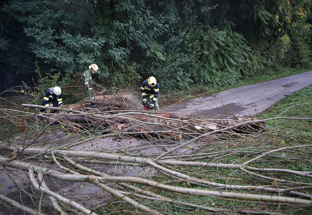 Die Katastrophenhilfsdienstübung erprobt den Ernstfall. | Foto: Landesmedienservice