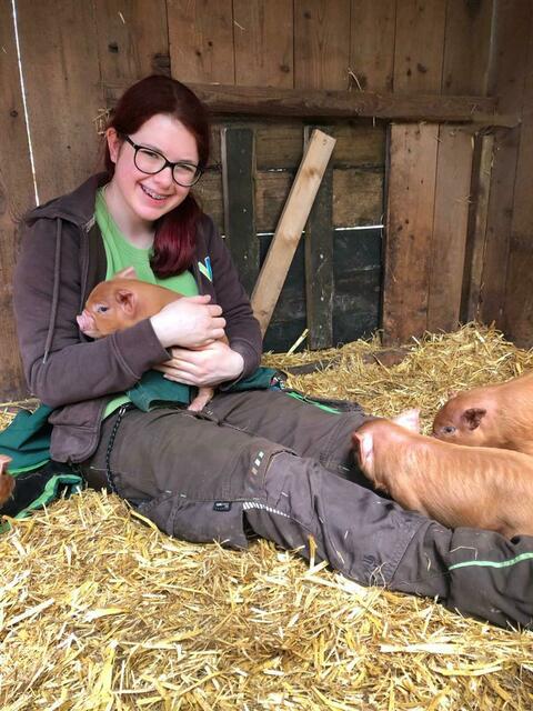 ARCHIV: Tiergarten Wels