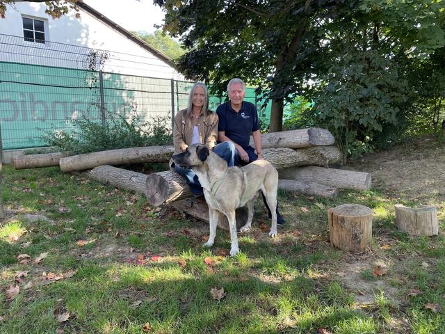 Andrea Specht, Vorsitzende Tierschutzverband NÖ, Willi Stiowicek, Leiter des Tierheims St. Pölten mit Hund Alvin. | Foto: Tanja Handlfinger