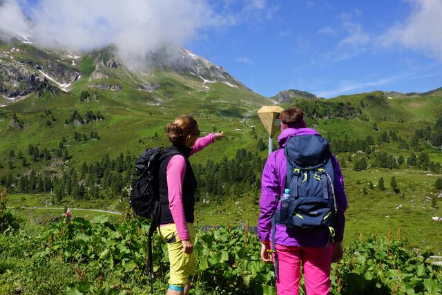 Erfahren Sie mehr über im Podcast der Region Hall-Wattens über den Zirmweg Wattener Lizum.  | Foto: TVB Region Hall-Wattens