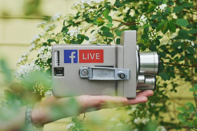 Landtag live | Foto:  Sticker Mule auf Unsplash