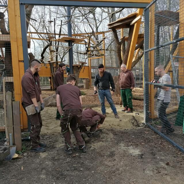 Guereza Gehege - Neubau
Johannes, Ralf, Alexander, Marc, Dominic, Harald, Julian