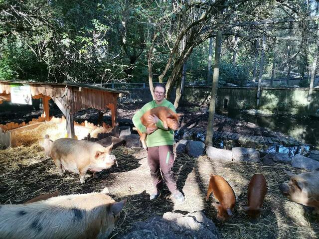 Kunekune - etwas Älter