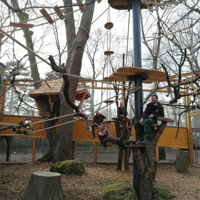 Spiel und Spaß im neuen Gehege! 