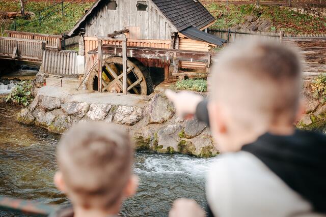 Bei einem geführten Spaziergang am 30. Oktober können die Kinder den "Geh:Denk:Weg" in Weyer kennenlernen. | Foto: Teresa Putz
