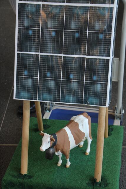 Foto: RegionalMedien Steiermark/Hofmüller