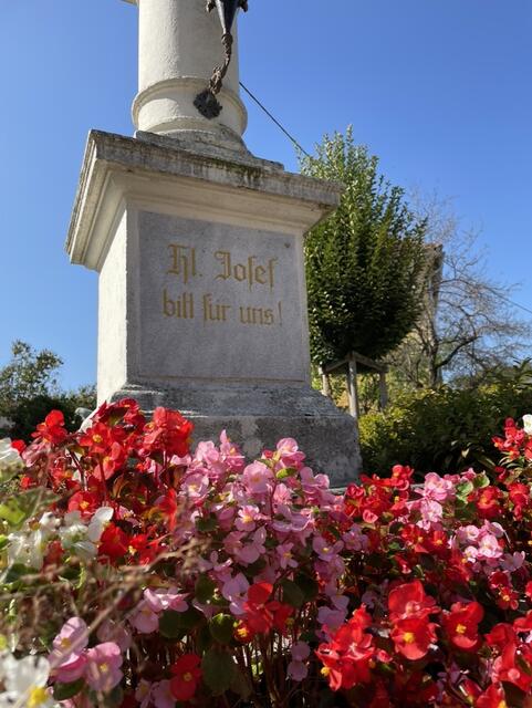 Blütenpracht in Großsteinbach | Foto: Jeitler