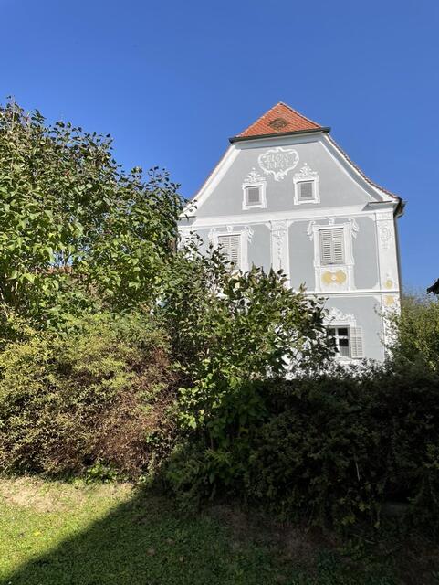 Welcher Schatz verbirgt sich wohl hinter diesen Bäumen? | Foto: Jeitler