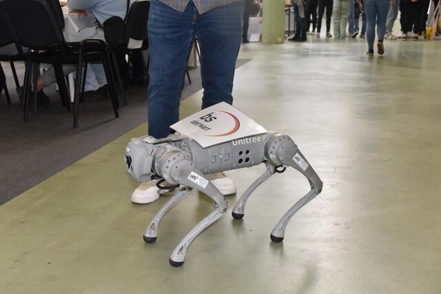 Foto: Michael Strini