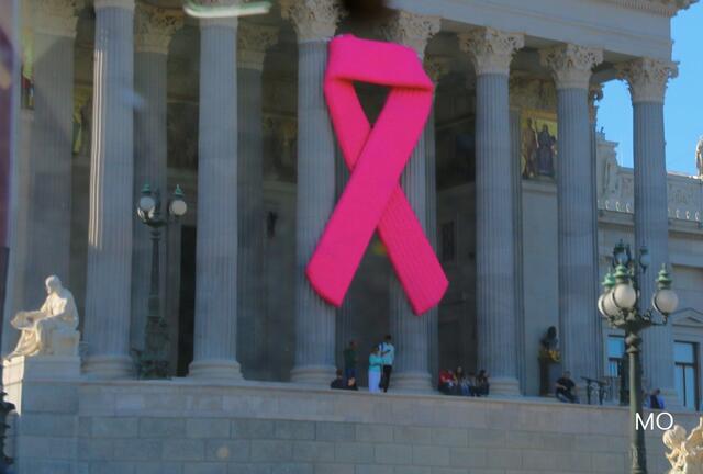 Pink Ribbon, Österreichisches Parlament, Brustkrebsmonat Oktober