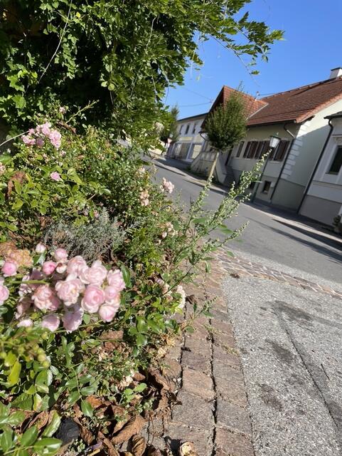 Schöne Ausblicke, wohin das Auge auch wandert in Großsteinbach. | Foto: Jeitler
