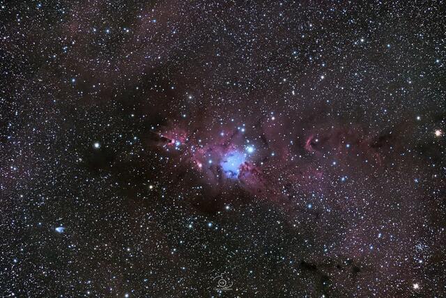 Foto: Christian Namesnik