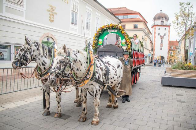 Foto: Klaus Pressberger