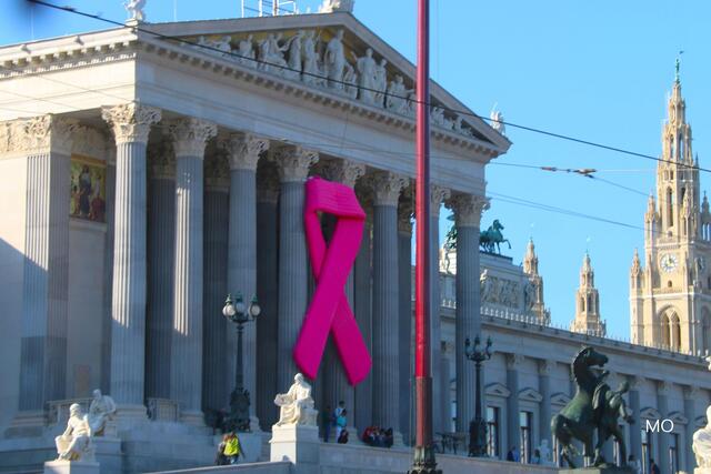 Pink Ribbon, Brustkrebstag 1. Oktober, Österreichische Krebshilfe