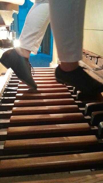 Mag. Angela Amodio
Bibel Pfad Veranstaltung 2023
Chant de Paix, 32acts_breath & fire“ Tanzmeditation in der Wiener Votivkirche  | Foto: Tatjana Christelbauer