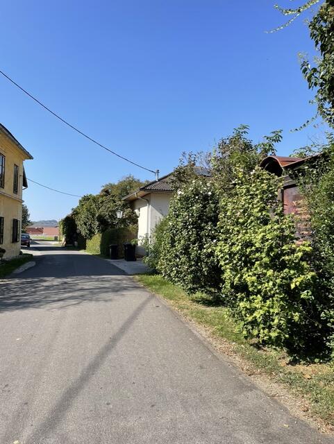 Kaiserwetter bei unserem Besucht. | Foto: Jeitler