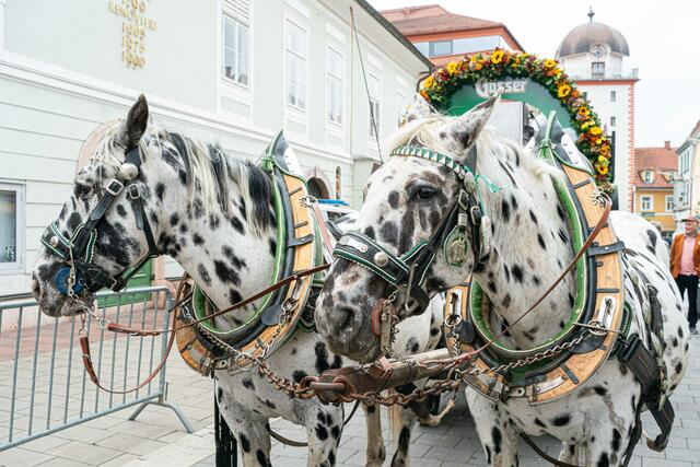 Foto: Klaus Pressberger