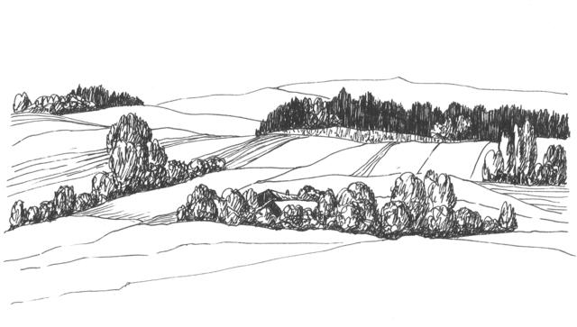 Mühlviertler Landschaft Federzeichnung Roswitha Leitner 1995.  | Foto: Galerie im Gwölb Haslach