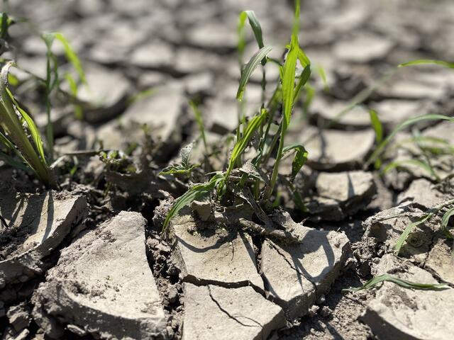 Der Boden ist ein hitzigeres Thema, als man glauben könnte. | Foto: Seidl