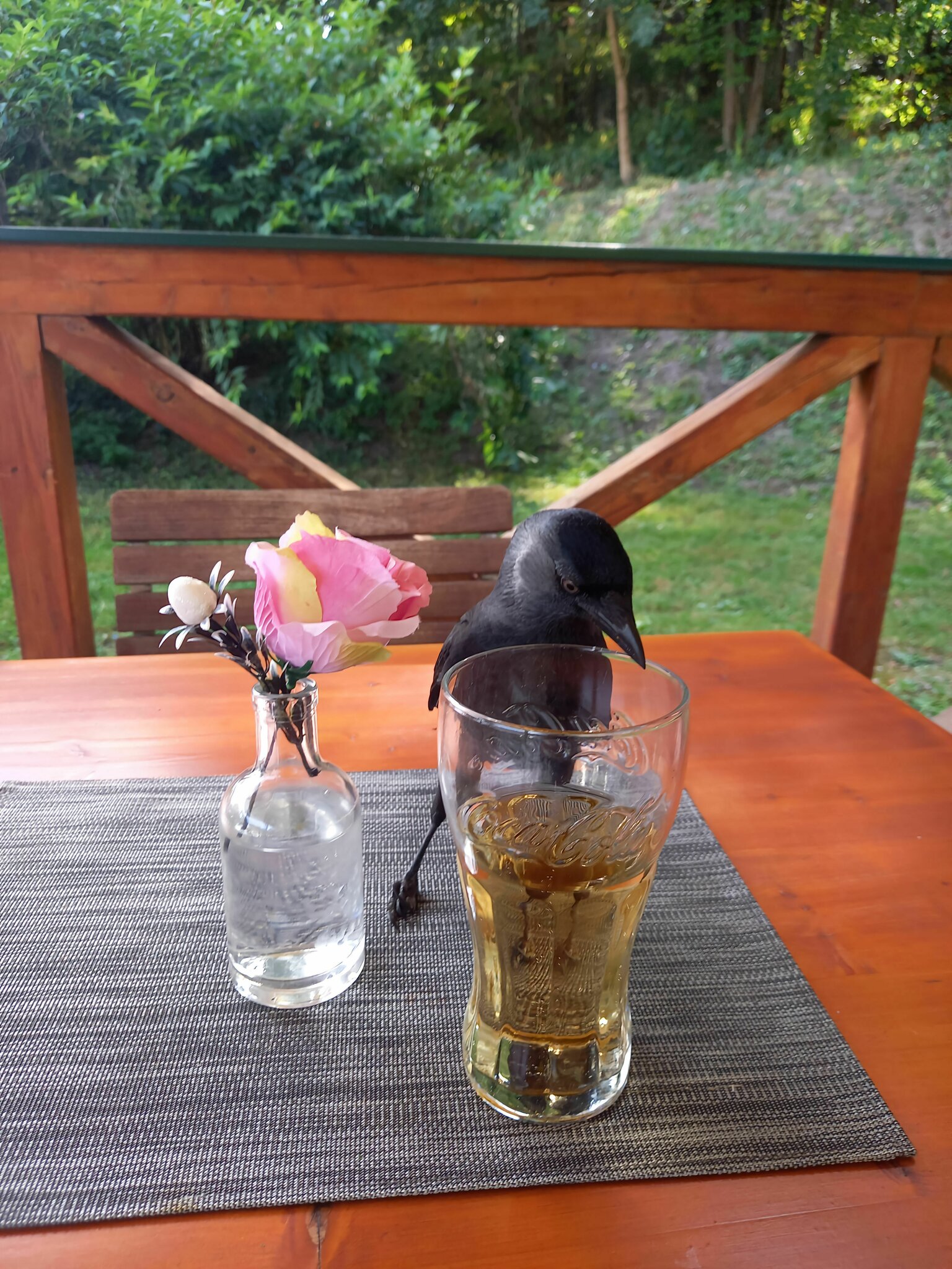 Ein schlauer Rabe: Besuch in einem Gasthaus im Wienerwald.