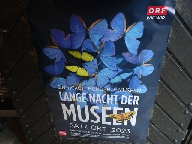 Foto: Peter Sattler