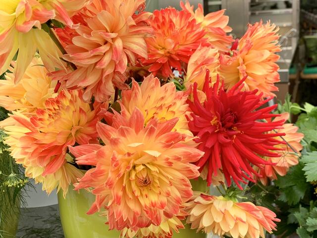 Foto: Bettina Fleiss