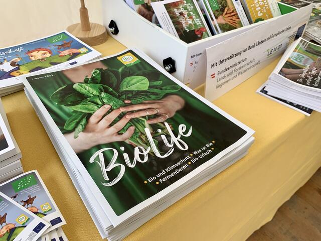 Foto: Bettina Fleiss