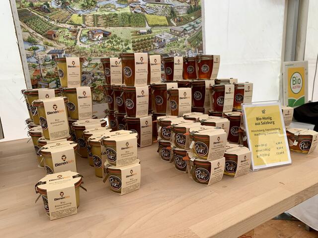 Foto: Bettina Fleiss