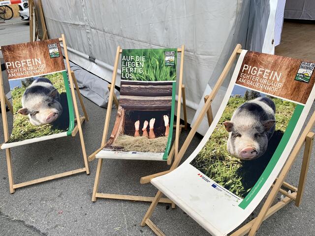 Ein Plätzchen zum Verweilen - echt pigfein.