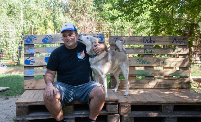 Huskies lassen sich nicht so gerne fotografieren. Mit Lukas Mikulics fiel es den Vierbeinern jedoch ein wenig leichter.  | Foto: Regina Courtier