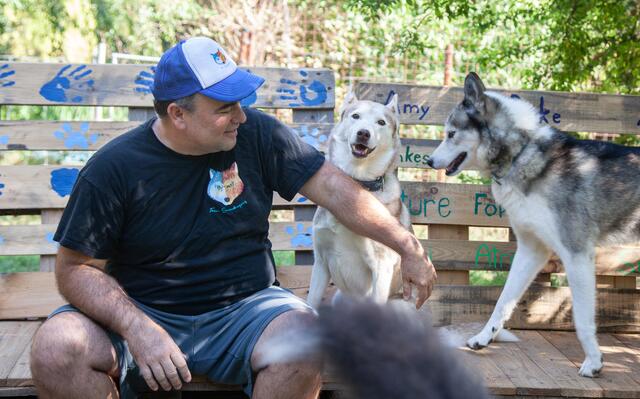 Huskies lassen sich nicht so gerne fotografieren. Mit Lukas Mikulics fiel es den Vierbeinern jedoch ein wenig leichter.  | Foto: Regina Courtier