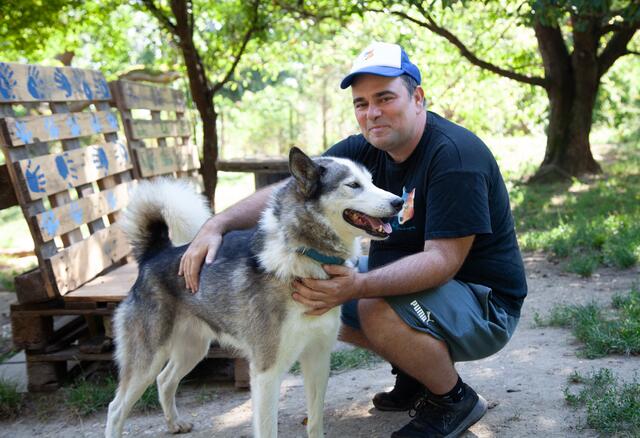 Huskies lassen sich nicht so gerne fotografieren. Mit Lukas Mikulics fiel es den Vierbeinern jedoch ein wenig leichter.  | Foto: Regina Courtier
