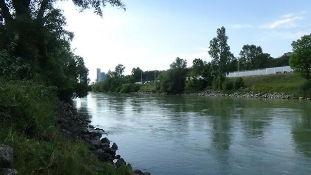 Foto: Umweltinitiative Wienerwald