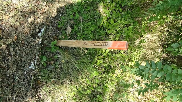 Foto: Umweltinitiative Wienerwald