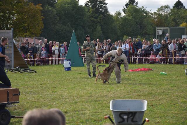Der Heeressportverein Sektion Hunde zeigte den Sport "Mondioring" | Foto: ÖBH, Petra Pollak