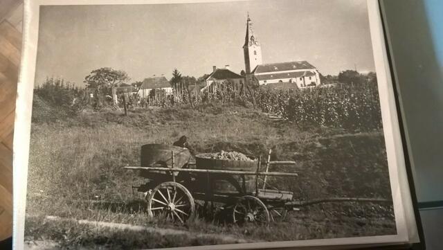 Foto: Marktgemeinde Fels am Wagram