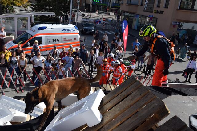 Bei der Leistungsschau der Rettungshundestaffel wurde eine Verschüttete geborgen. | Foto: Johanniter