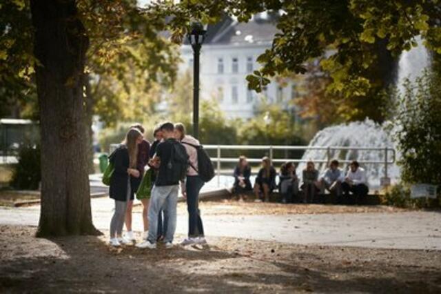Im Stadtpark Krems | Foto: FKVisuals/Koch